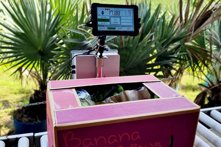 Básculas Banaweigh: Equipos para pesaje de banano y plátano