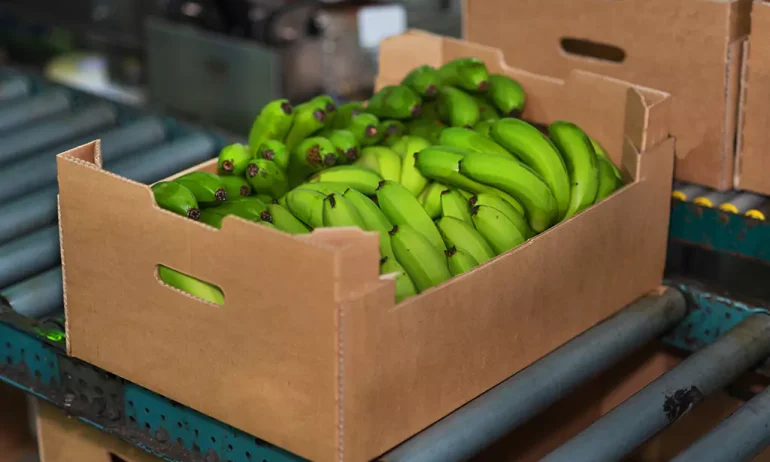 ¿Por qué es necesario controlar el peso de las cajas de banano?